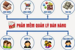 Xây dựng phần mềm tại TP. Hồ Chí Minh